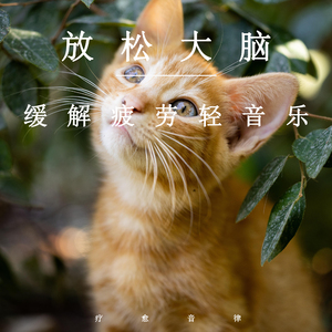 久久性感妈妈沟
